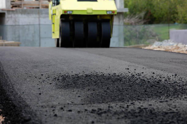 Best Professional Driveway Pavers  in Brogden, NC