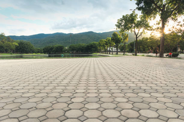 Best Driveway Paving Contractor  in Brogden, NC