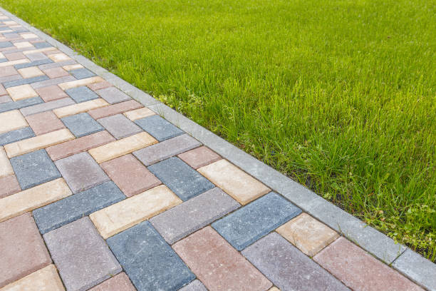 Best Local Driveway Pavers  in Brogden, NC